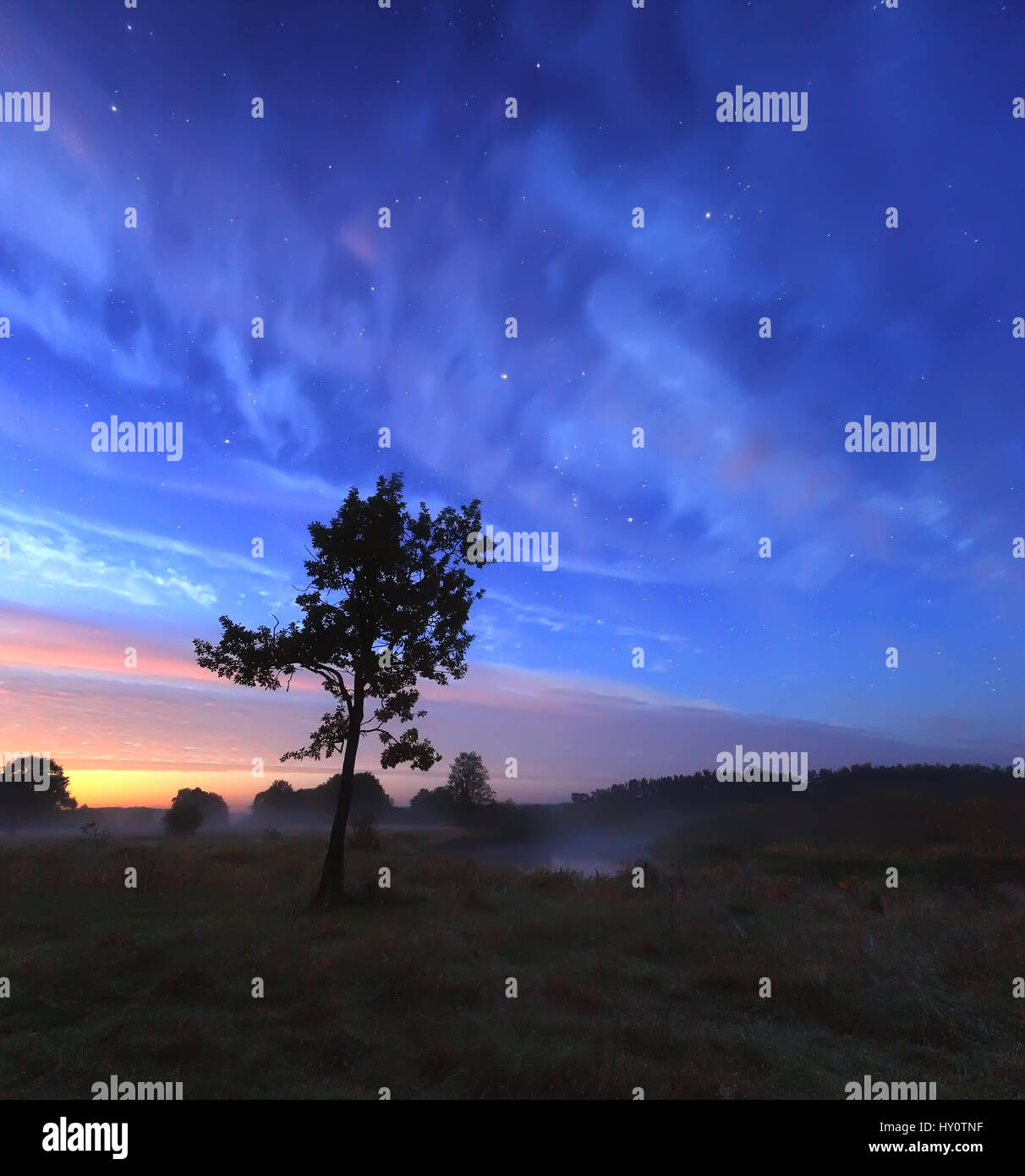 Blu cielo stellato sulle misty meadow al crepuscolo. Bella scena notturna con le stelle e le nuvole in cielo. Sun inizia a illuminare orizzonte dal colore rosso. Colorfu Foto Stock