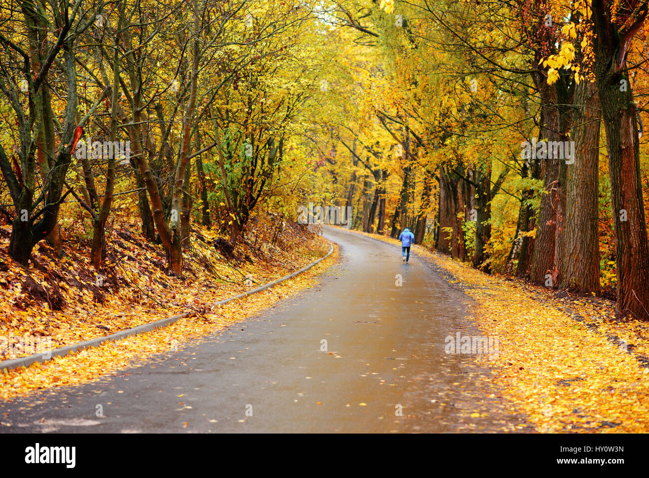 Colorato paesaggio autunnale nella foresta con la vecchia strada Foto Stock