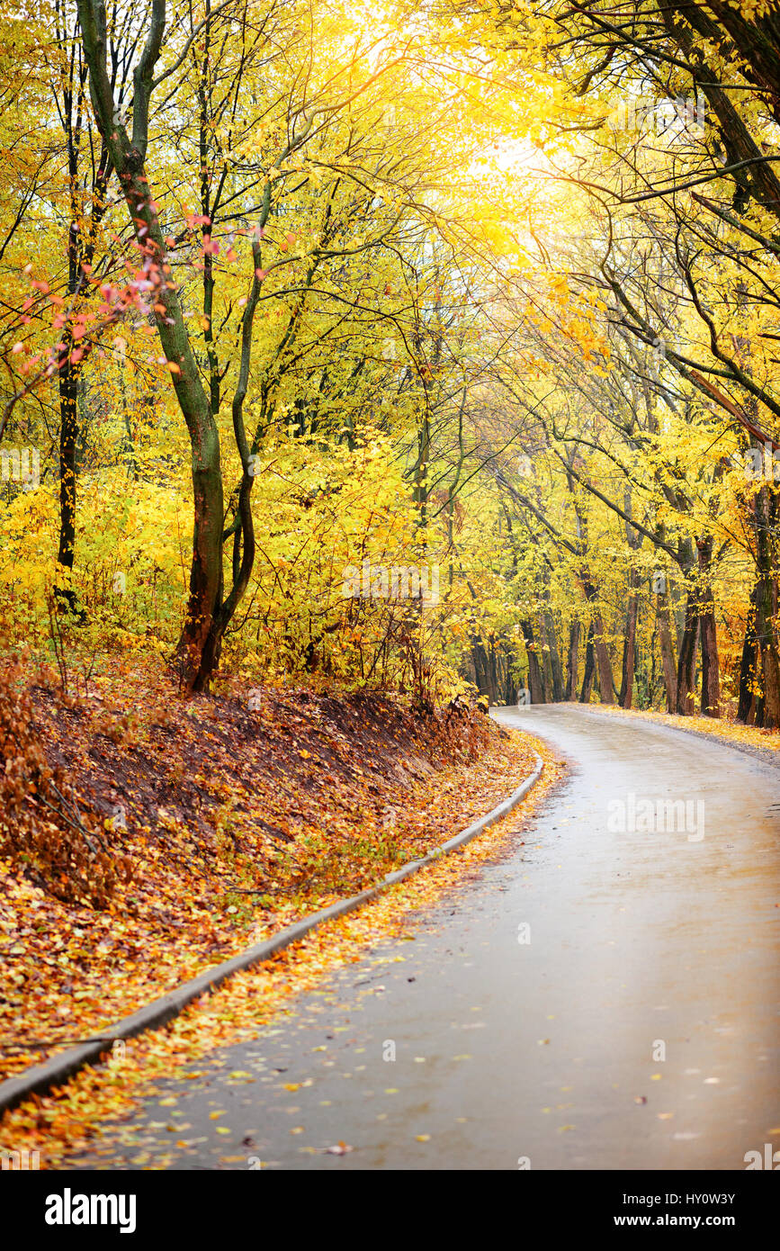Colorato paesaggio autunnale nella foresta con la vecchia strada Foto Stock