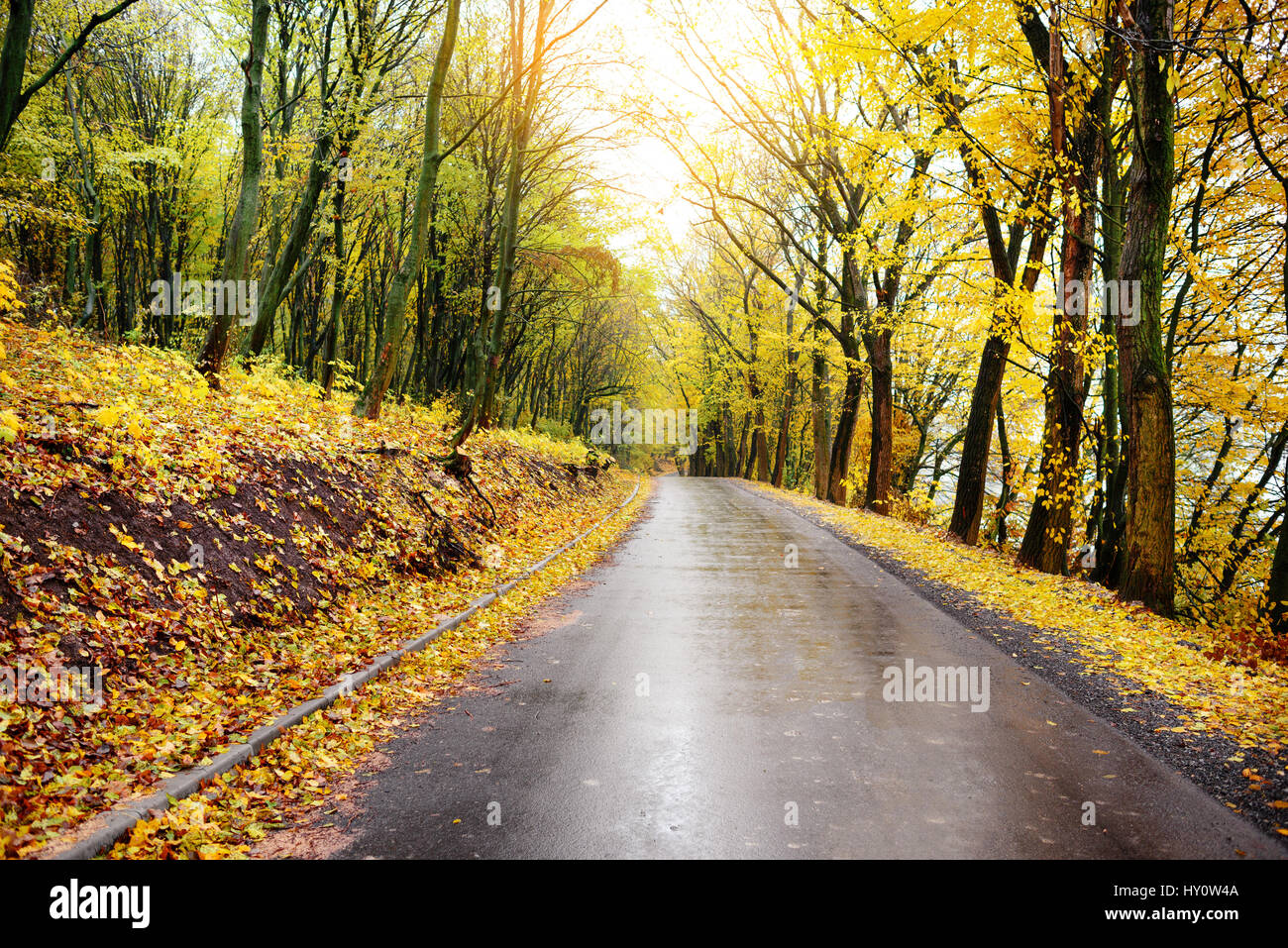 Colorato paesaggio autunnale nella foresta con la vecchia strada Foto Stock