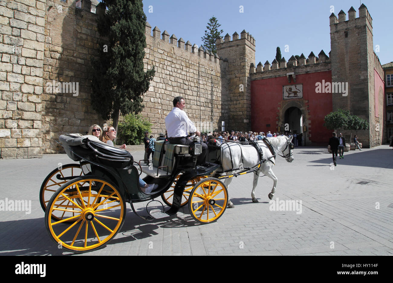 Carro trainato da cavalli tour.molto popolare attrazione di Siviglia.una grande esperienza per ottenere una panoramica e orientamento della città. Foto Stock