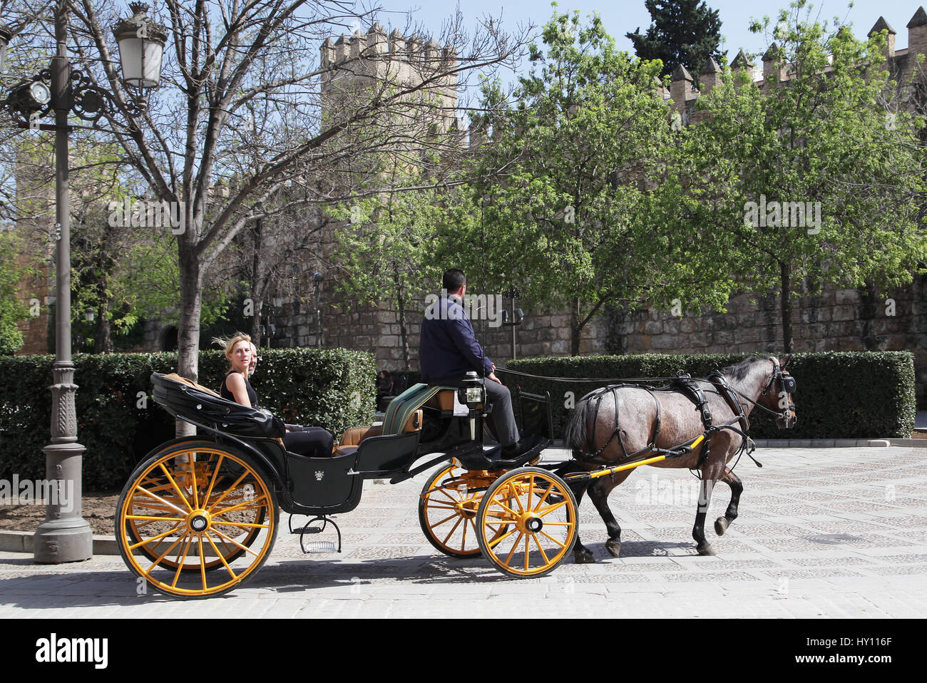Carro trainato da cavalli tour.molto popolare attrazione di Siviglia.una grande esperienza per ottenere una panoramica e orientamento della città. Foto Stock