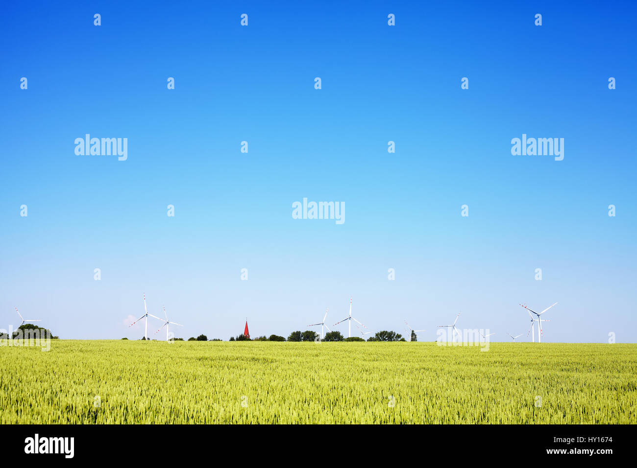 Verde campo di cereali con mulini a vento all'orizzonte con il blu cielo senza nuvole, alternativo e fonte di energia verde. Foto Stock