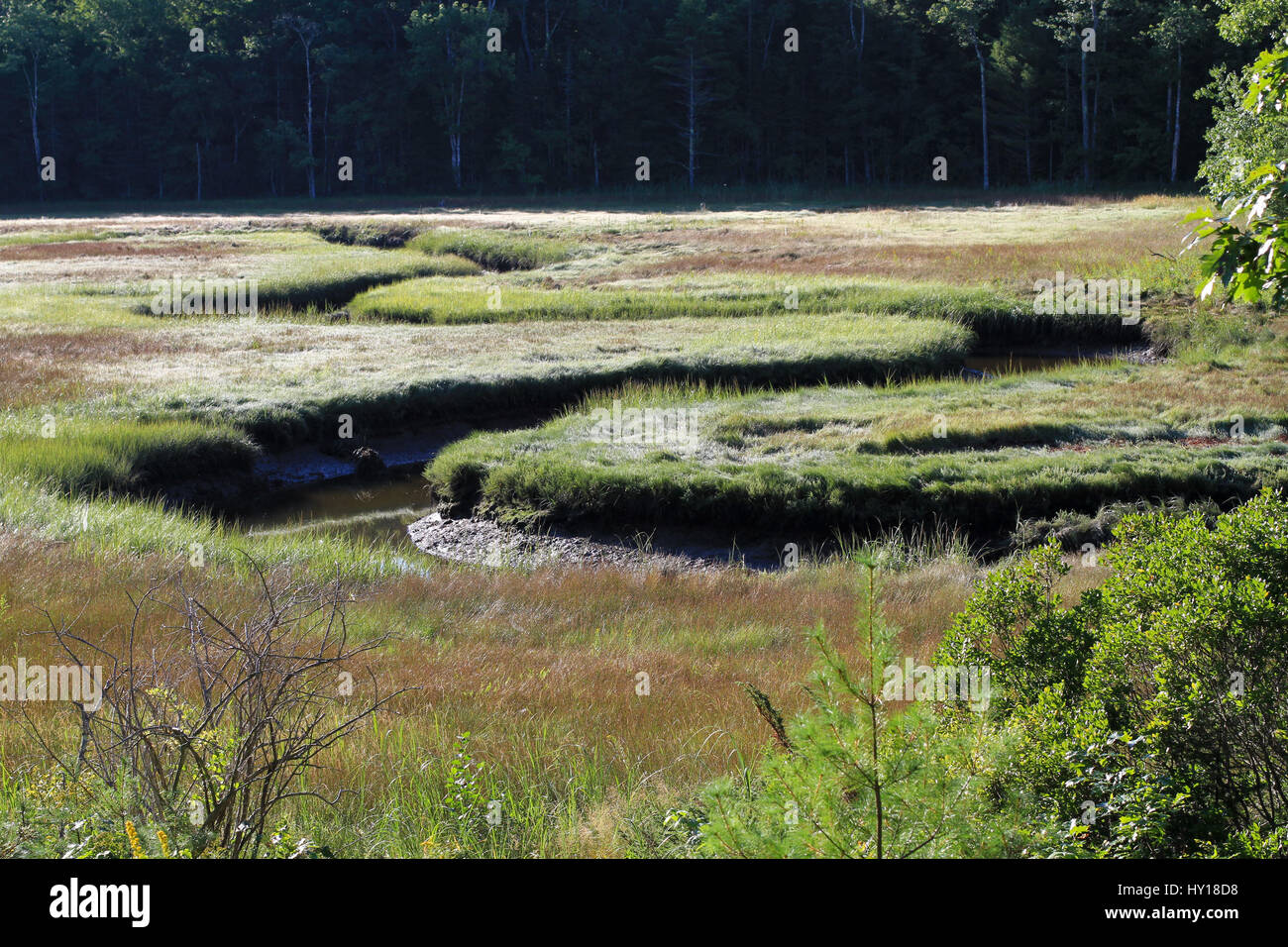 Un avvolgimento Creek a bassa marea Foto Stock