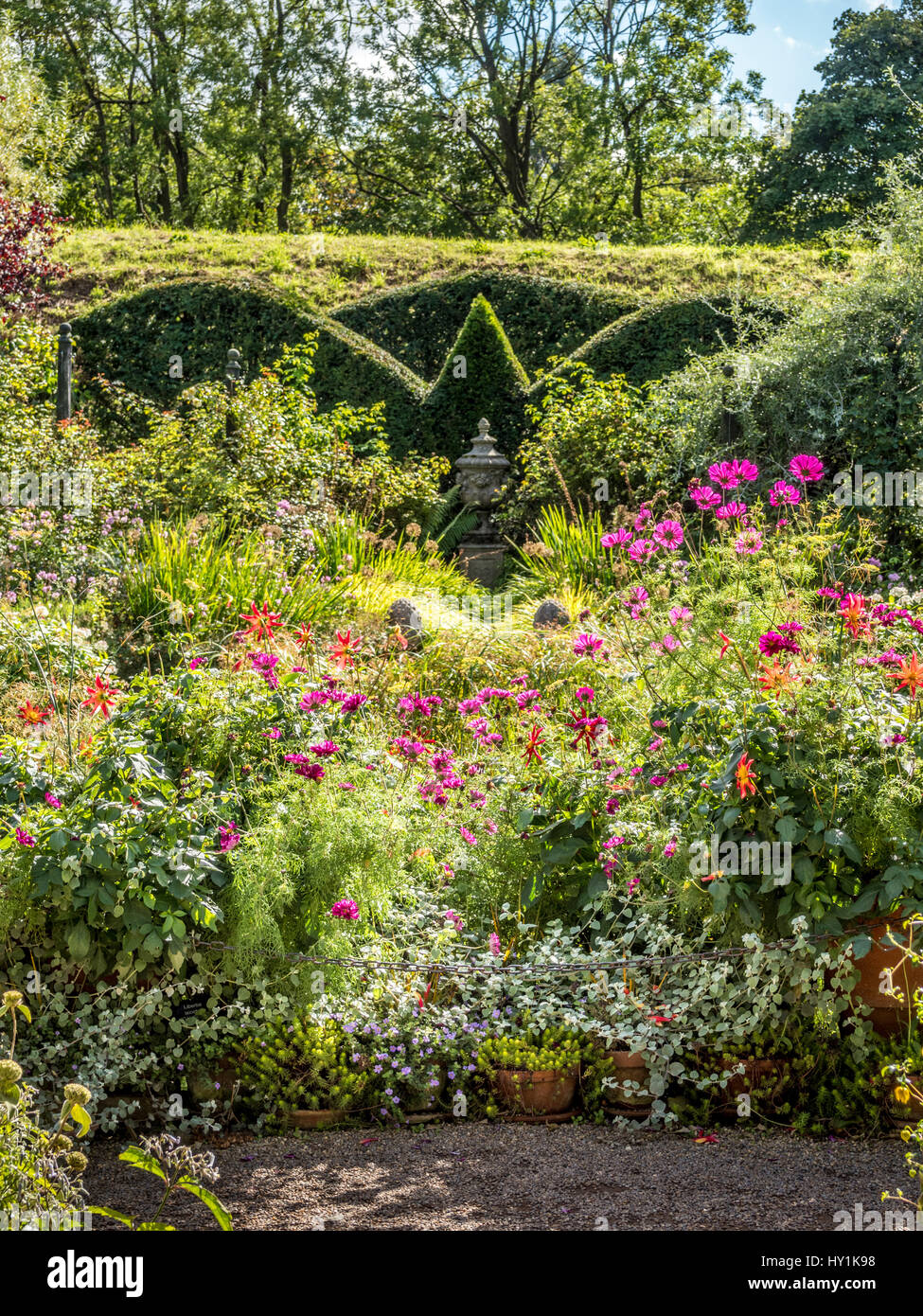 Formale giardino misti semina con copertura topiaria da Foto Stock