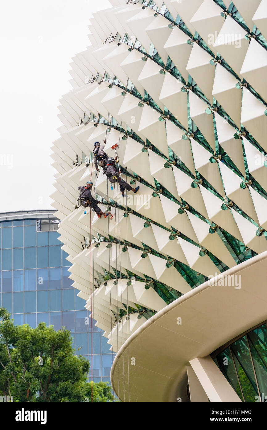 Pulitori su funi lavando il paralume in alluminio il rivestimento sul tetto dell'Esplanade, i teatri sulla baia, Singapore Foto Stock
