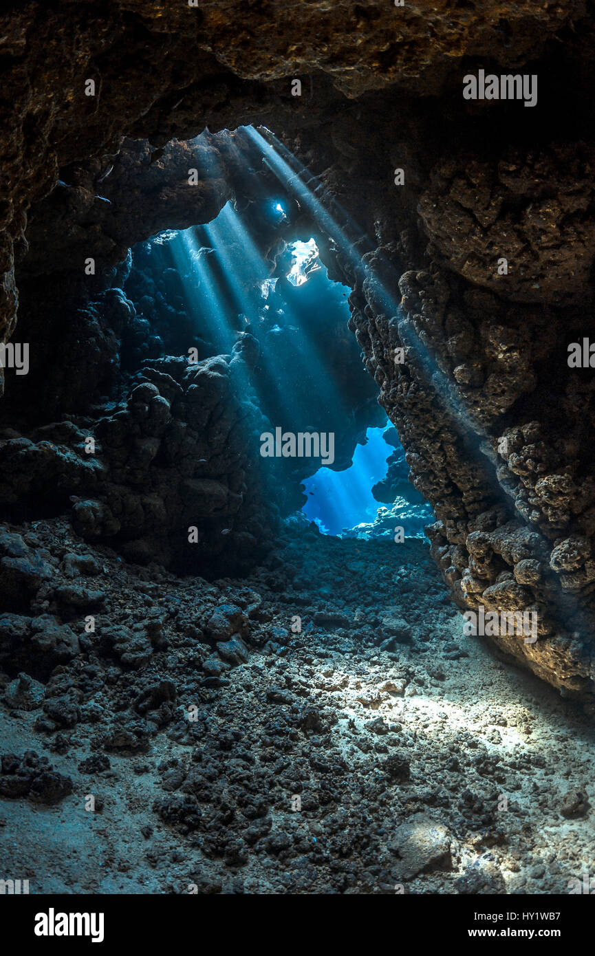 Alberi di luce attraverso le tenebre della caverna all'interno di barriera corallina. Sha'ab Claudia, Fury Shoal, Egitto. Mar Rosso. Foto Stock