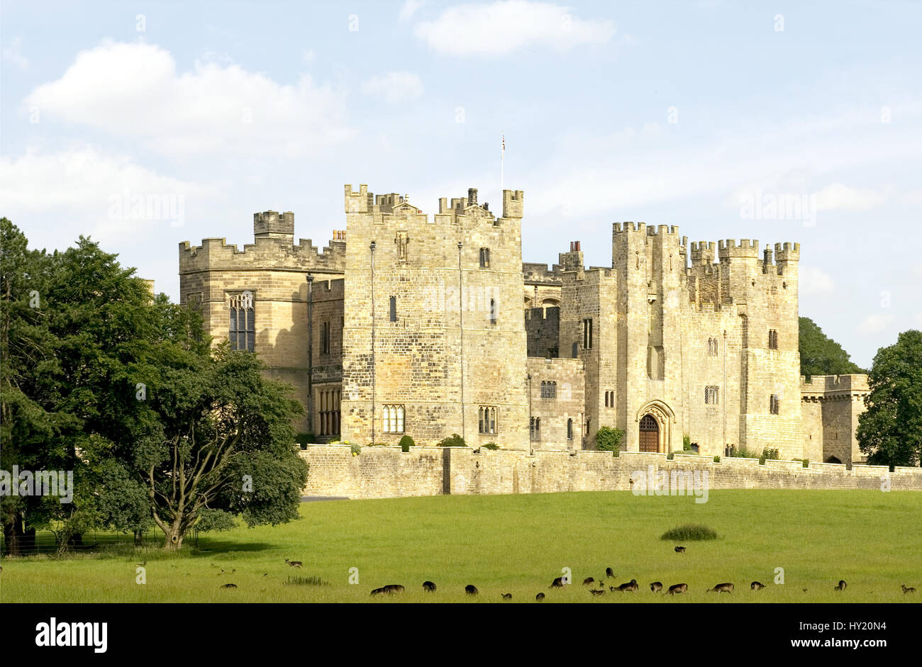 Raby Castle è situato vicino a Lancaster nella Contea di Durham ed è uno dei più grandi castelli abitato in Inghilterra. Il grado che ho elencato la costruzione ha opulen Foto Stock