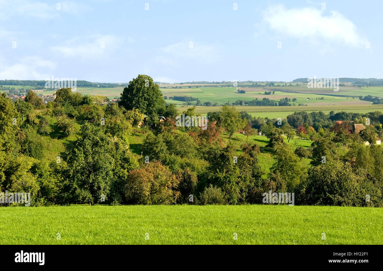 Landschaft in der Hohenloher Ebene in der NÃ¤egli von Schwaebisch Hall di Baden Wuertemberg. Immagine di panorama della pianura Hohenloher vicino Schwaebisc Foto Stock