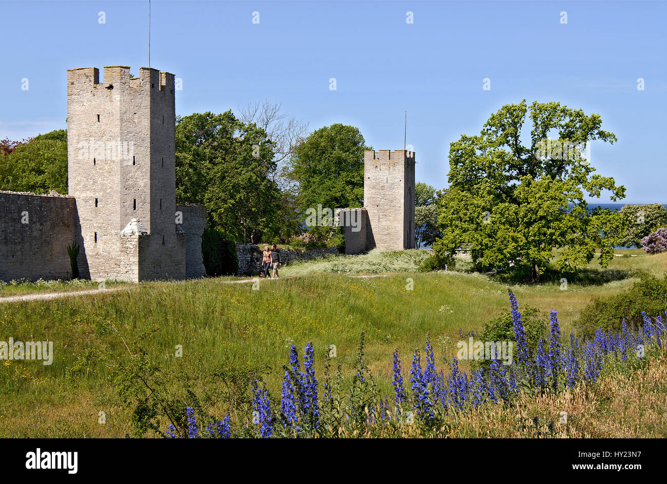 Questo stock foto mostra il castello medievale mura che circondano la storica città portuale di Visbyon l'isola di Gotland in Svezia. In primo piano y Foto Stock