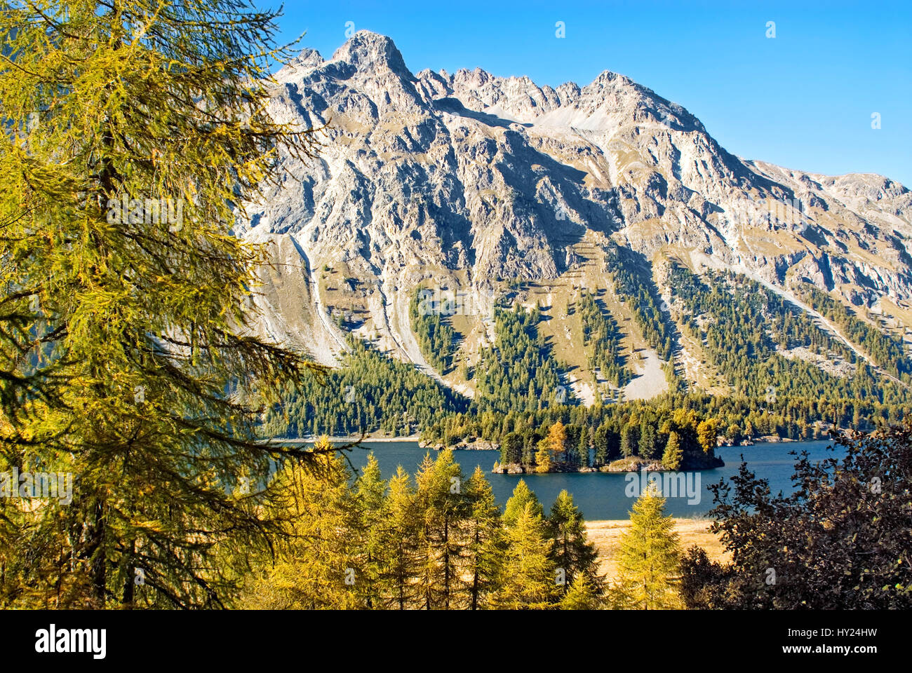 Paesaggio autunnale, il lago di Sils, alta Engadina, Svizzera | Herbstlandschaft am Silser vedere, Oberengadin, Schweiz Foto Stock