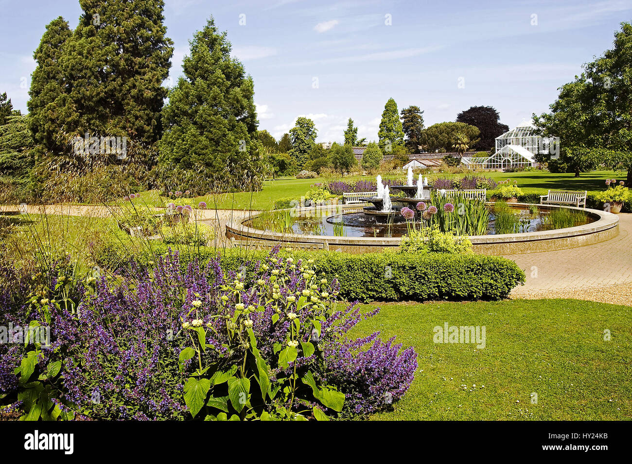 Im bekannten Botanischen Garten der Universitaetsstadt Cambridge in Inghilterra. Foto Stock