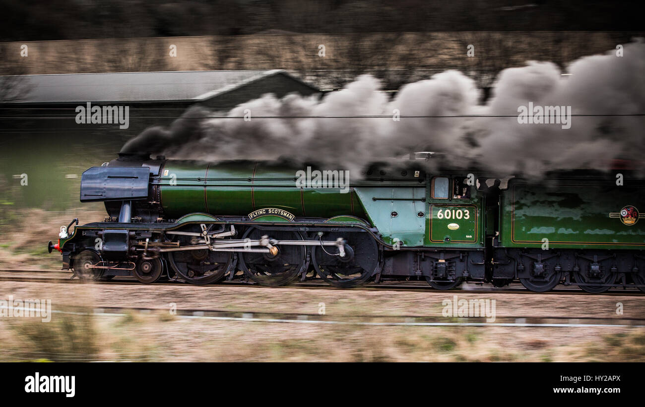Ribblehead, UK. 31 Mar, 2017. Flying Scotsman poteri in Keighley sul ritorno dalla riapertura del Settle a Carlisle linea. La linea è stata chiusa il 9 febbraio 2016 come risultato di una frana. Le riparazioni hanno costato £23M Credito: Graham Eva/Alamy Live News Foto Stock