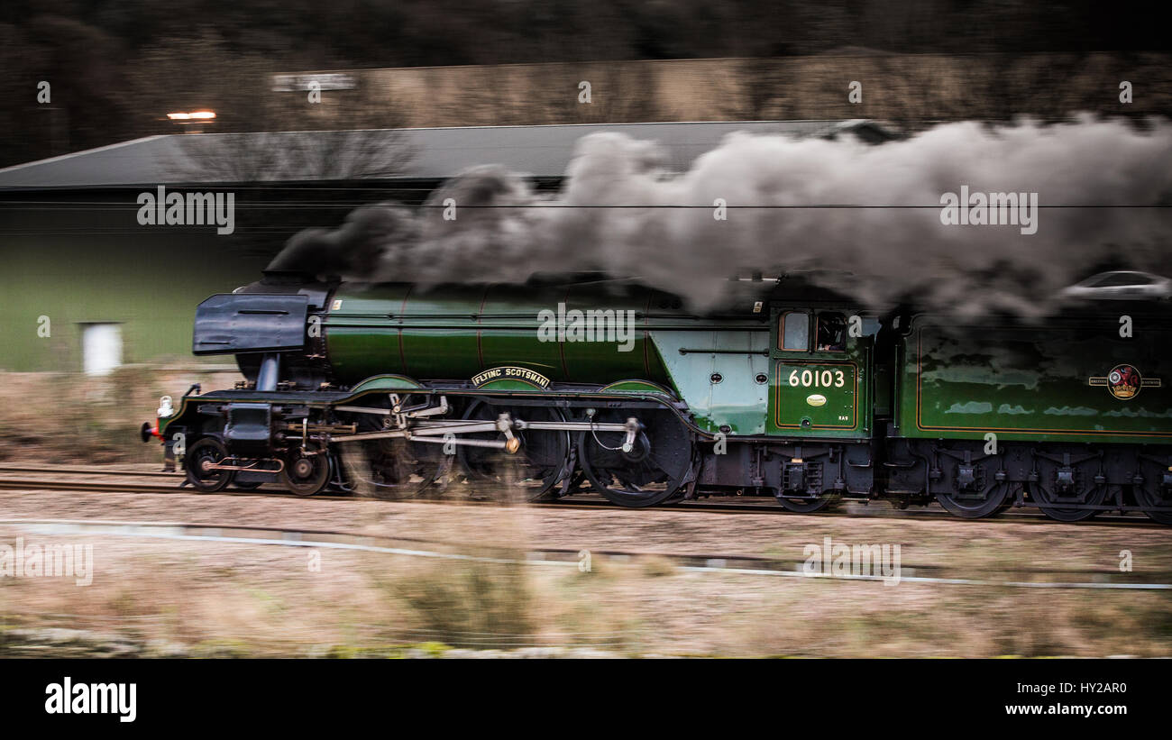 Ribblehead, UK. 31 Mar, 2017. Flying Scotsman poteri in Keighley sul ritorno dalla riapertura del Settle a Carlisle linea. La linea è stata chiusa il 9 febbraio 2016 come risultato di una frana. Le riparazioni hanno costato £23M Credito: Graham Eva/Alamy Live News Foto Stock
