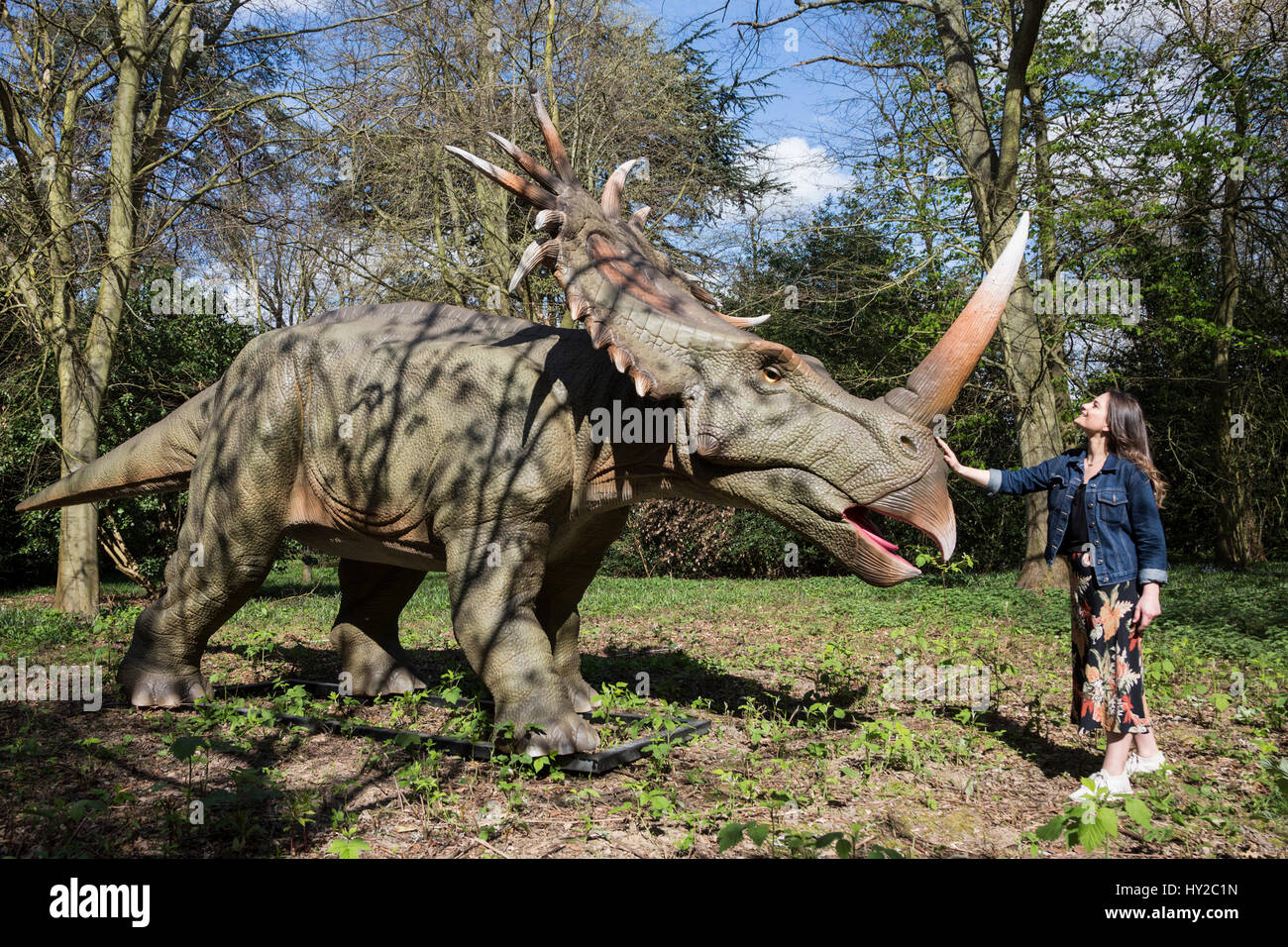 Londra, Regno Unito. Il 31 marzo 2017. Jurassic unito, una nuova esperienza di animatronic, vede la vita-dinorsaurs dimensionato tenendo su parchi di tutto il Regno Unito. Dando dei calci a fuori in Osterley Park da 1st-17th aprile 2017, rende la bevanda ideale per la famiglia, con oltre 30 true-life i modelli di dinosauri e installazioni pronte a ruggire, spiedo e ringhio a quei coraggiosi abbastanza da avere un contatto ravvicinato e personale. Altre sedi in tutto il Regno Unito dovrà seguire. © OnTheRoad/Alamy Live News Foto Stock