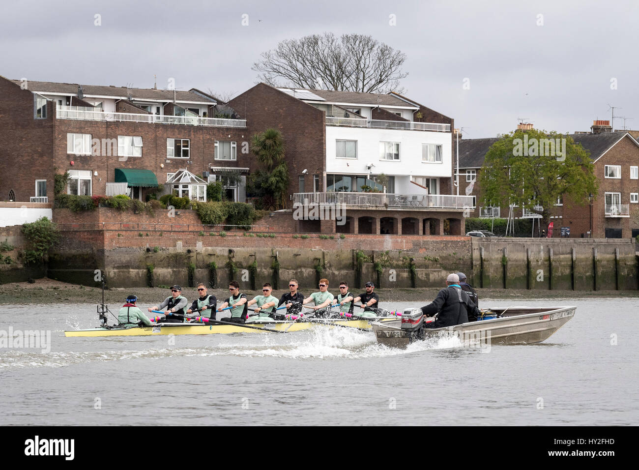 Londra, Regno Unito. Il 1 aprile, 2017. Cambridge University Boat Club su un finale pratica prima gita per la ricerca sul cancro, UK. 1 Aprile, 2017. Le regate che si terrà il 2 aprile 2017. Lista Equipaggio:- CUBC barca blu: Prua: Ben rublo, 2: Freddie Davidson, 3: James Letten, 4: Tim Tracey, 5: Aleksander Malowany, 6: Patrick Eble, 7: Lancia Tredell, corsa: Henry Meeke, Cox: Hugo Ramambason. Pullman: Steve Trapmore. Credito: Duncan Grove/Alamy Live News Foto Stock