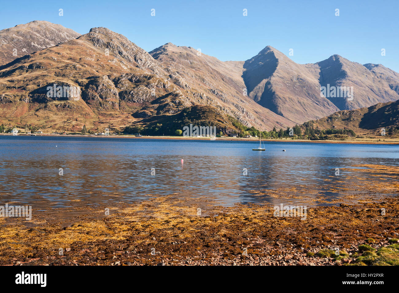 Ratagan, Loch Duich, Mam Ratagan Pass, Highland, Scotland, Regno Unito Foto Stock