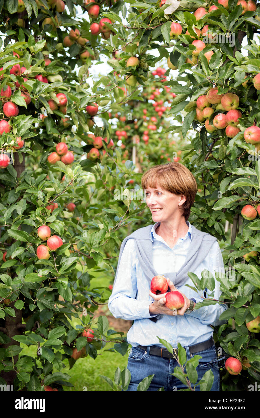 La mela e luppolo agricoltore Ali Capper delle scorte Farm Herefordshire UK Foto Stock