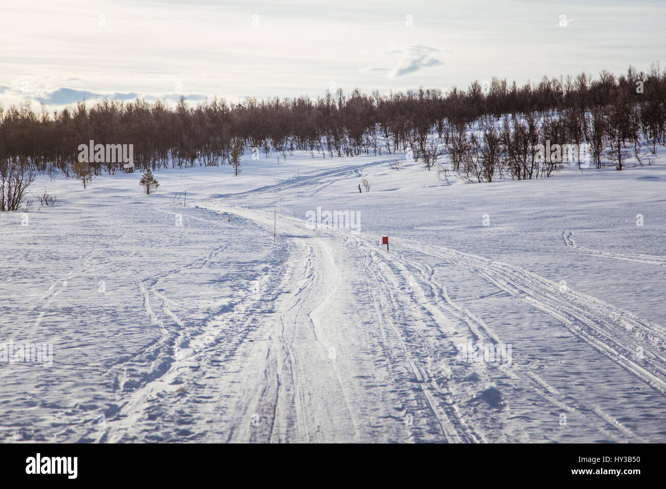 Un bellissimo paesaggio bianco di un nevoso inverno norvegese giornata con le vie per la motoslitta o cani da slitta Foto Stock