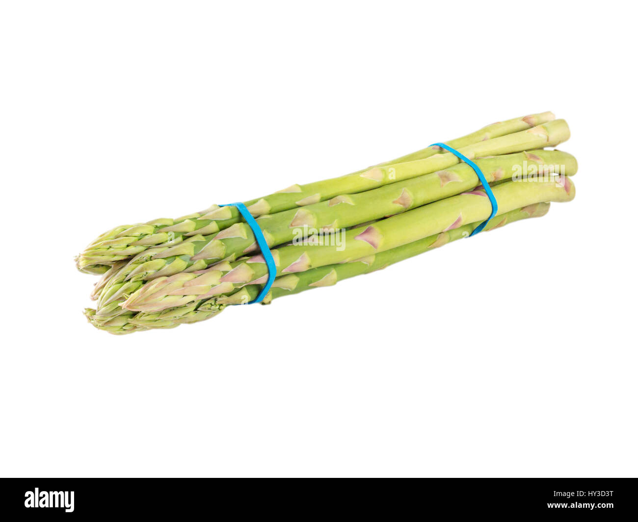 Mazzetto di asparagi verdi legato con blu di bande di gomma isolato su bianco Foto Stock