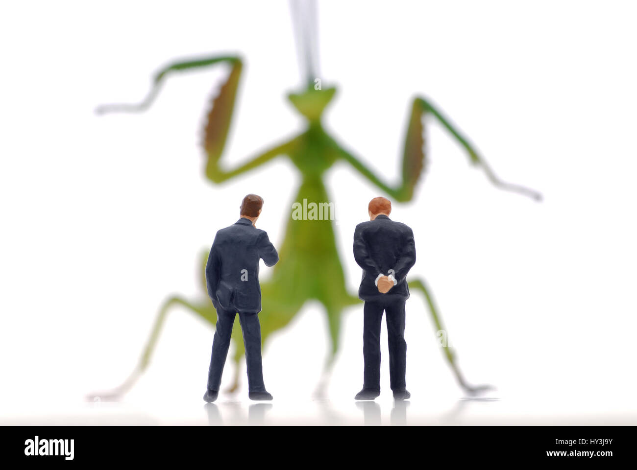 Imprenditori prima di grasshopper, simbolico foto di hedge fund, vor Geschäftsmänner Heuschrecke, Symbolfoto Hedge-Fonds Foto Stock