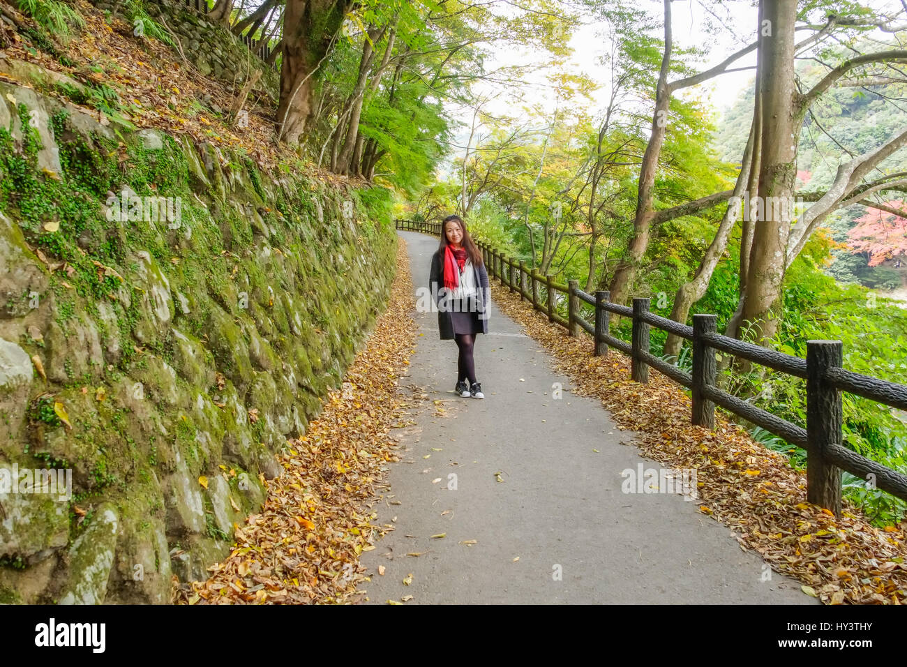 Donna turistico con sciarpa rossa si alza e si affaccia la fotocamera in strada con caduto foglie di autunno nella foresta a Kyoto, Giappone Foto Stock