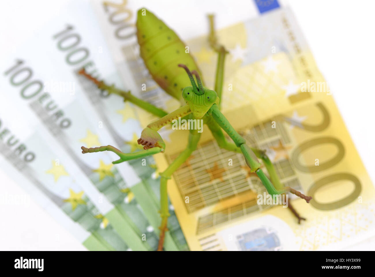 Grasshopper sulle banconote, hedge fund, Heuschrecke auf Geldscheinen, Hedge-Fonds Foto Stock