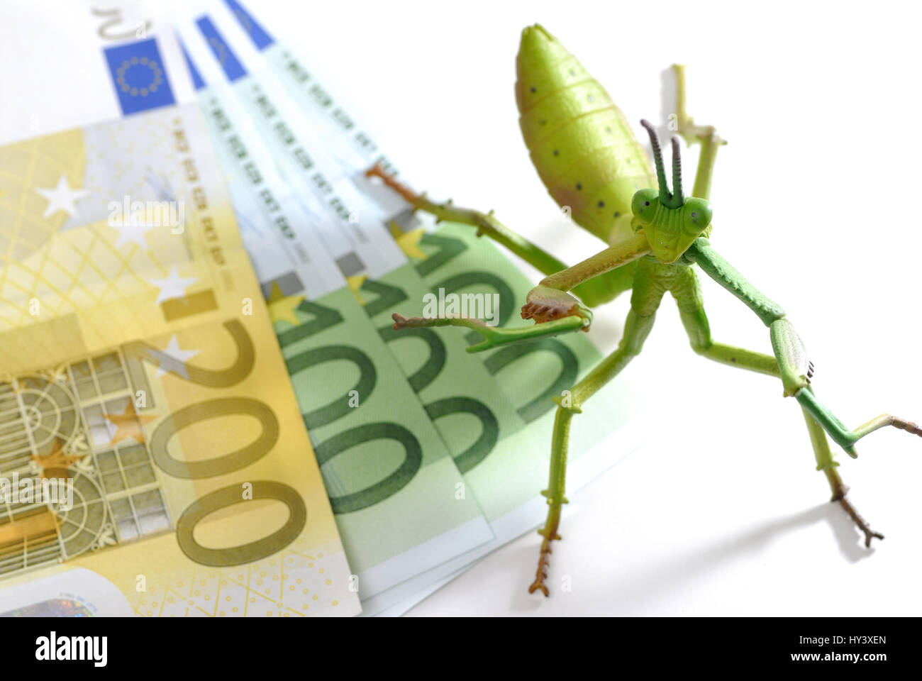 Grasshopper sulle banconote, hedge fund, Heuschrecke auf Geldscheinen, Hedge-Fonds Foto Stock