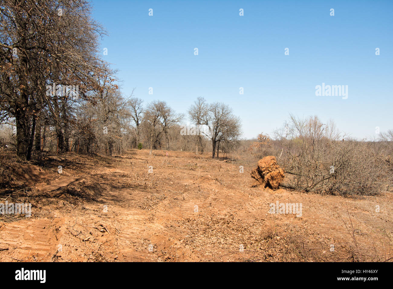 La perdita di habitat per la flora e la fauna dopo la cancellazione di alberi con un bulldozer per una nuova linea di recinzione Foto Stock