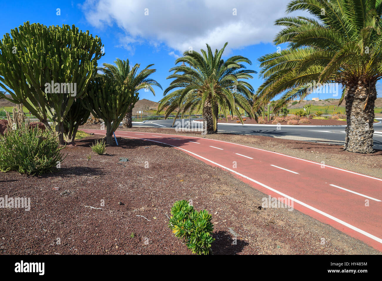 Escursioni a piedi e in bicicletta vicolo e palme e piante tropicali in parco pubblico a Fuerteventura in Las Playitas town, Isole Canarie, Spagna Foto Stock