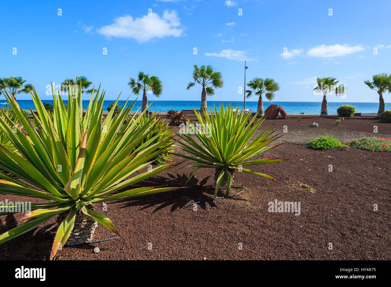 Passeggiata costiera area verde in Las Playitas villaggio e spiaggia pubblica, Fuerteventura, Isole Canarie, Spagna Foto Stock