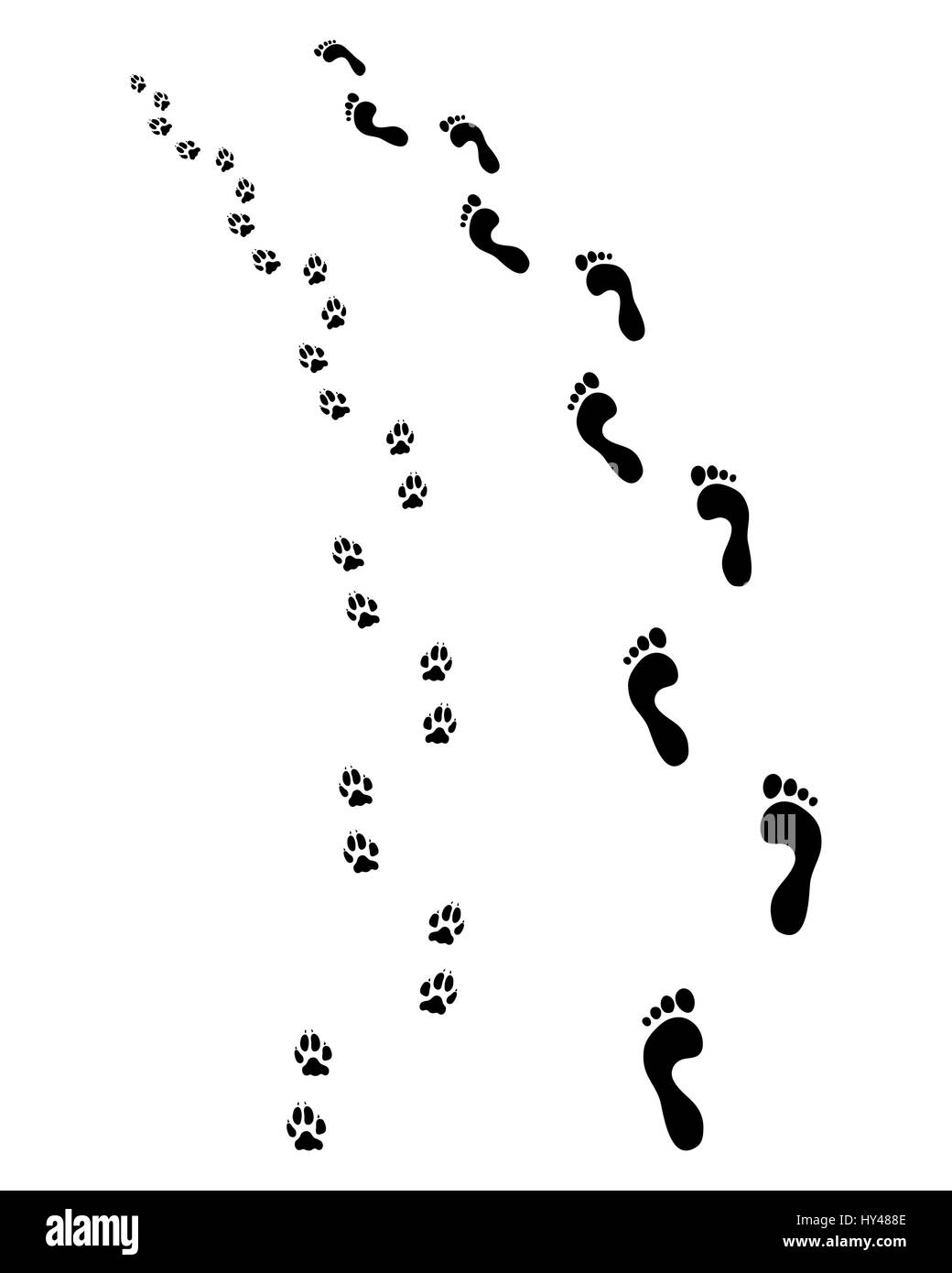 Stampe di piedi umani e zampe di cane, girare a sinistra Foto Stock