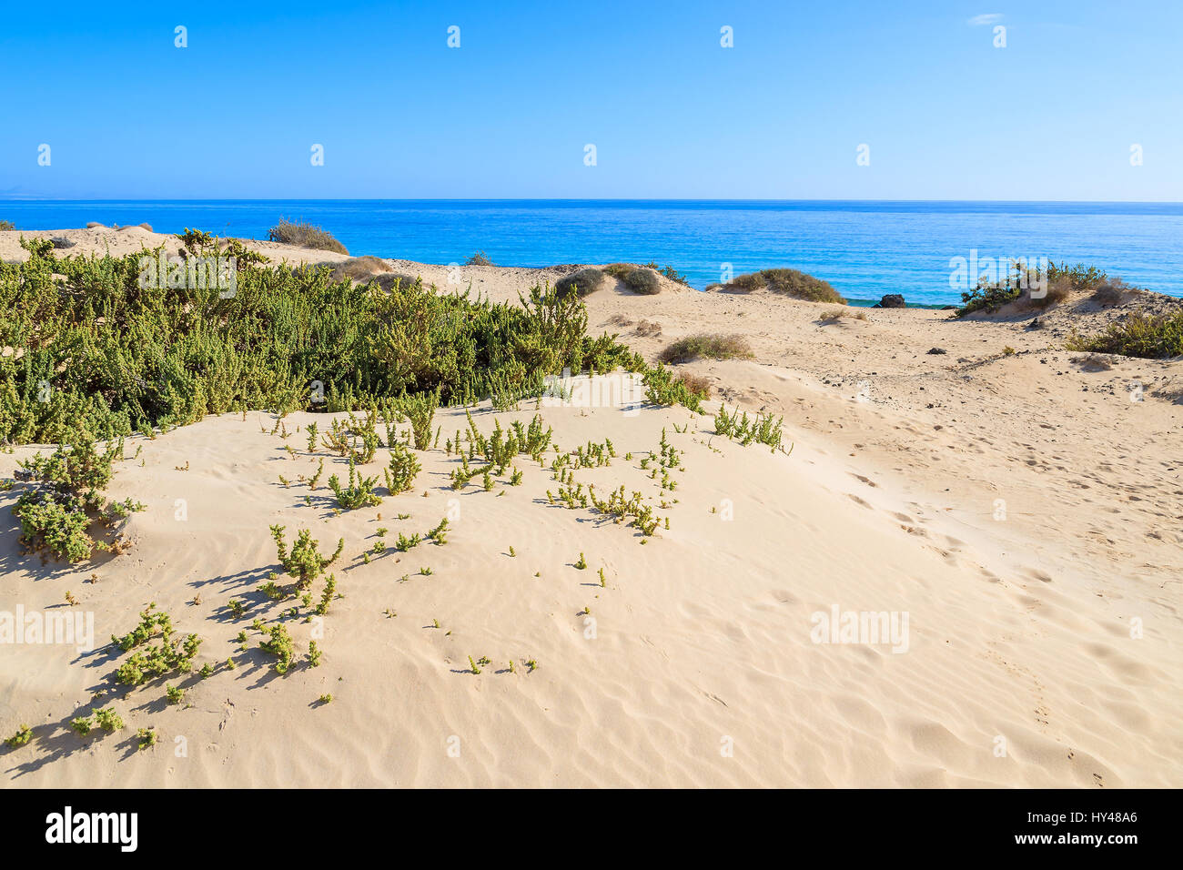 Vista delle dune di sabbia e l'oceano in Corralejo National Park, Fuerteventura, Isole Canarie, Spagna Foto Stock