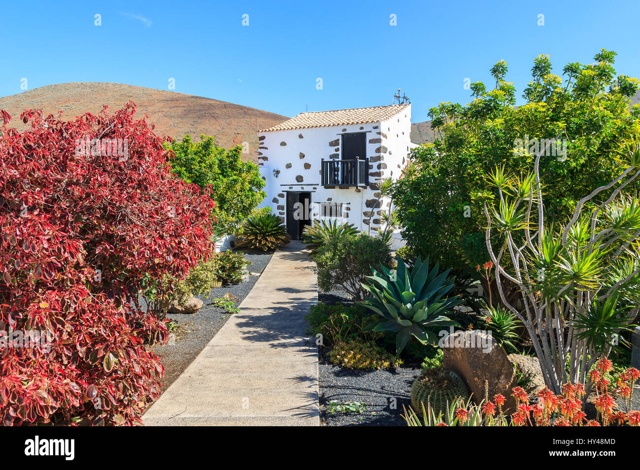 Il giardino tropicale e percorso in tipico stile delle Canarie casa nel villaggio di Betancuria, Fuerteventura, Isole Canarie, Spagna Foto Stock