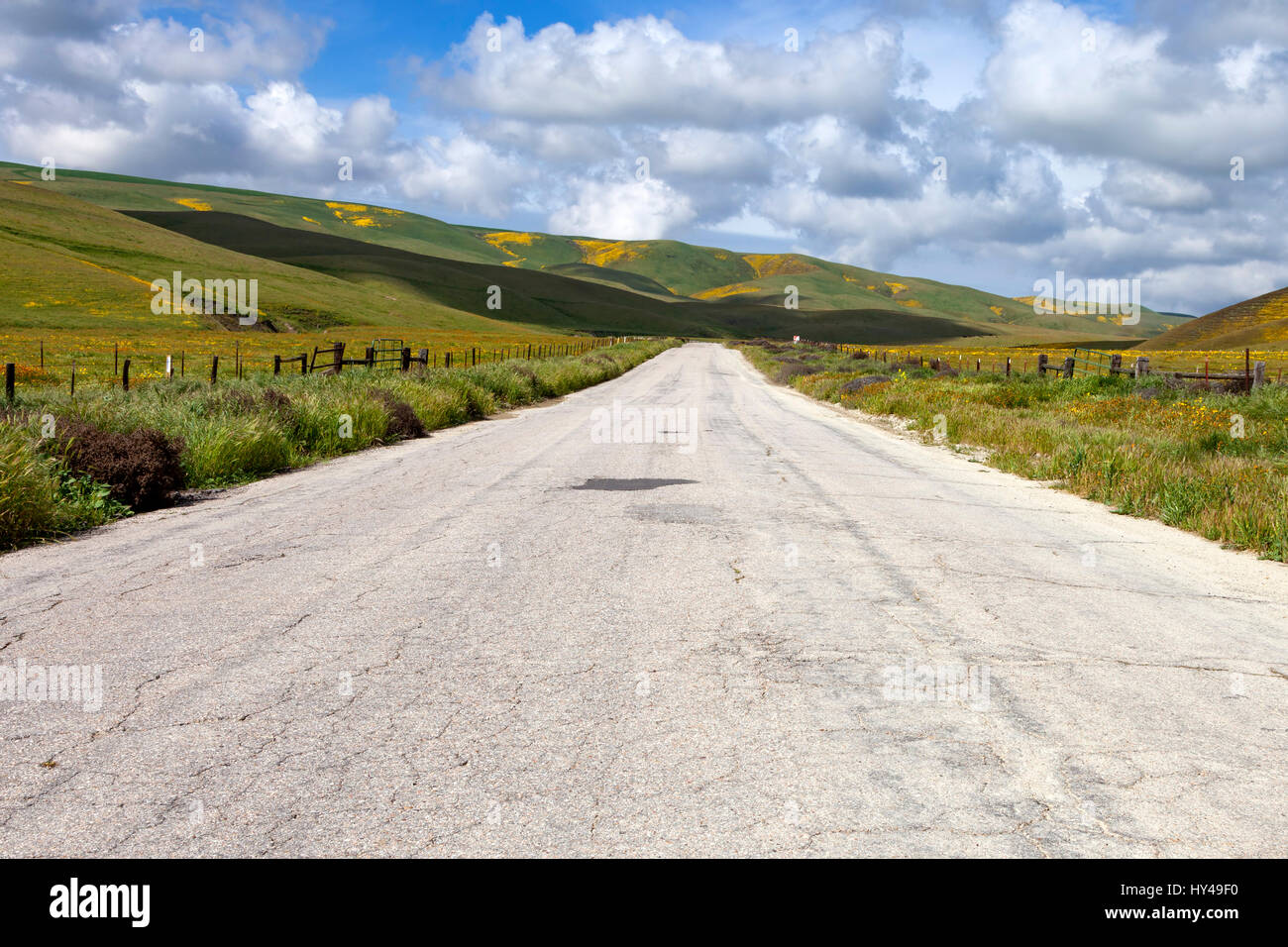 Bitterwater strada in Kern County, California. Foto Stock