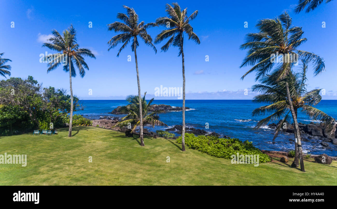 Vista aerea di palme e la spiaggia sulla costa nord di Oahu Hawaii Foto Stock