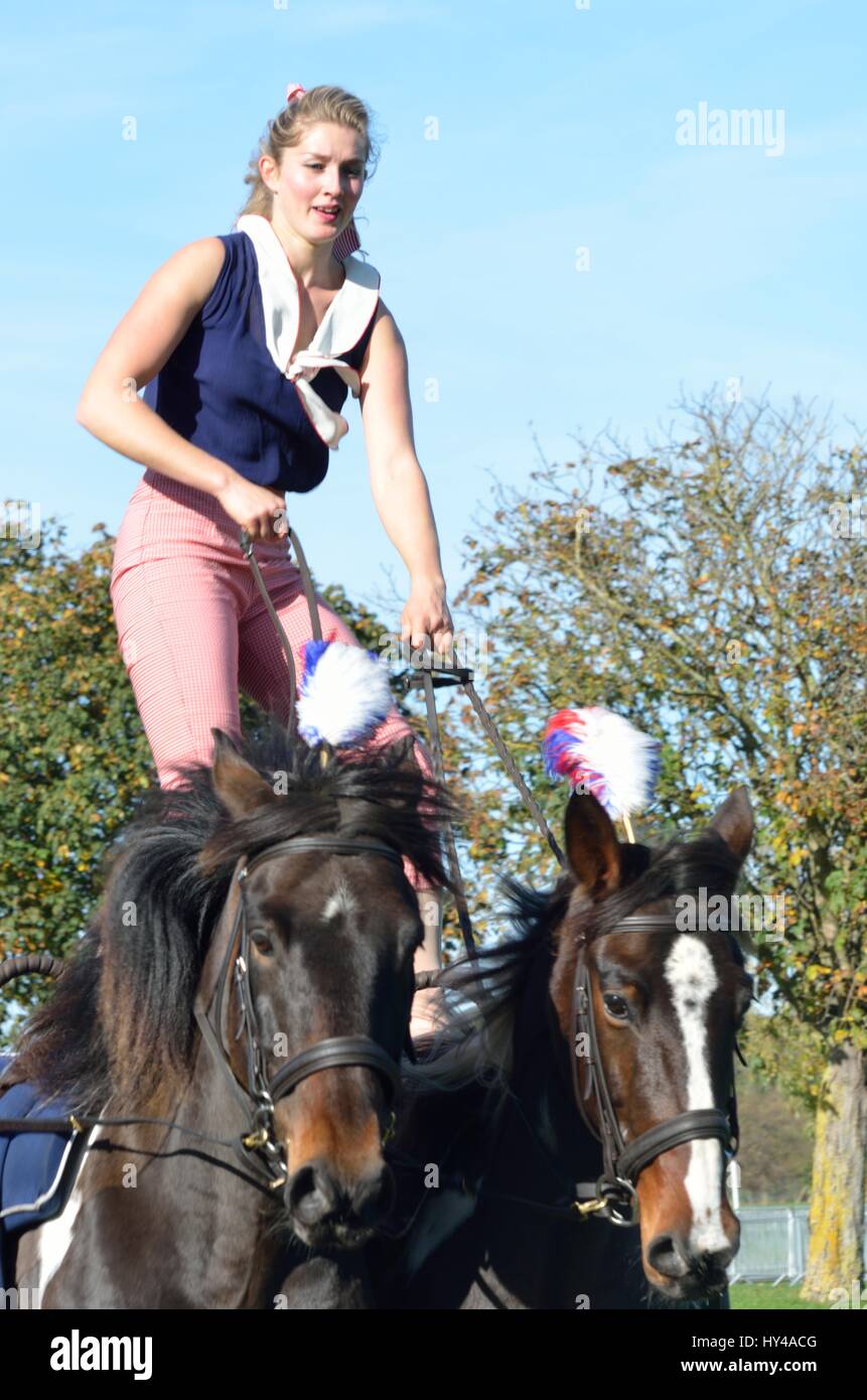 IPSWICH SUFFOLK REGNO UNITO 25 Ottobre 2014: East Anglia Fiera equestre cavallo donna ginnici su due cavalli Foto Stock