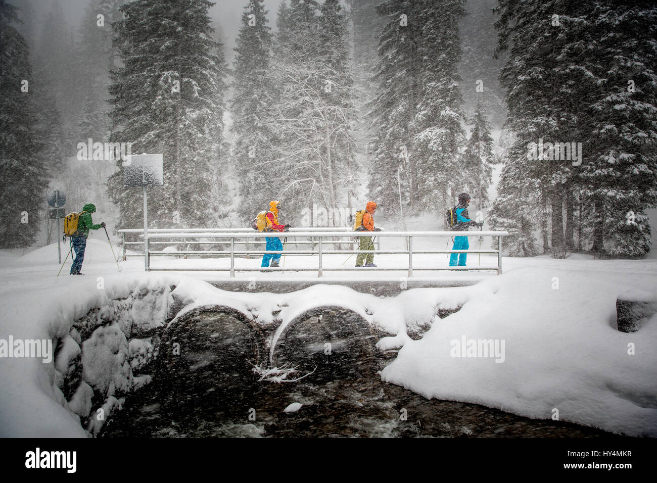 Modo con Splitboard in montagna Foto Stock