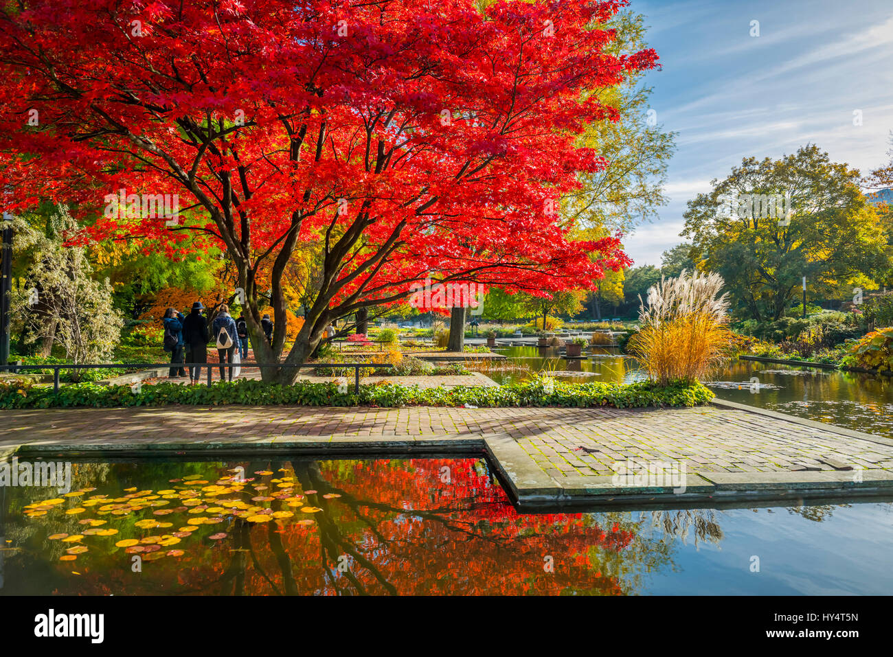 Germania, Amburgo, Park, Park, il parco Planten un Blomen, autunno Foto Stock