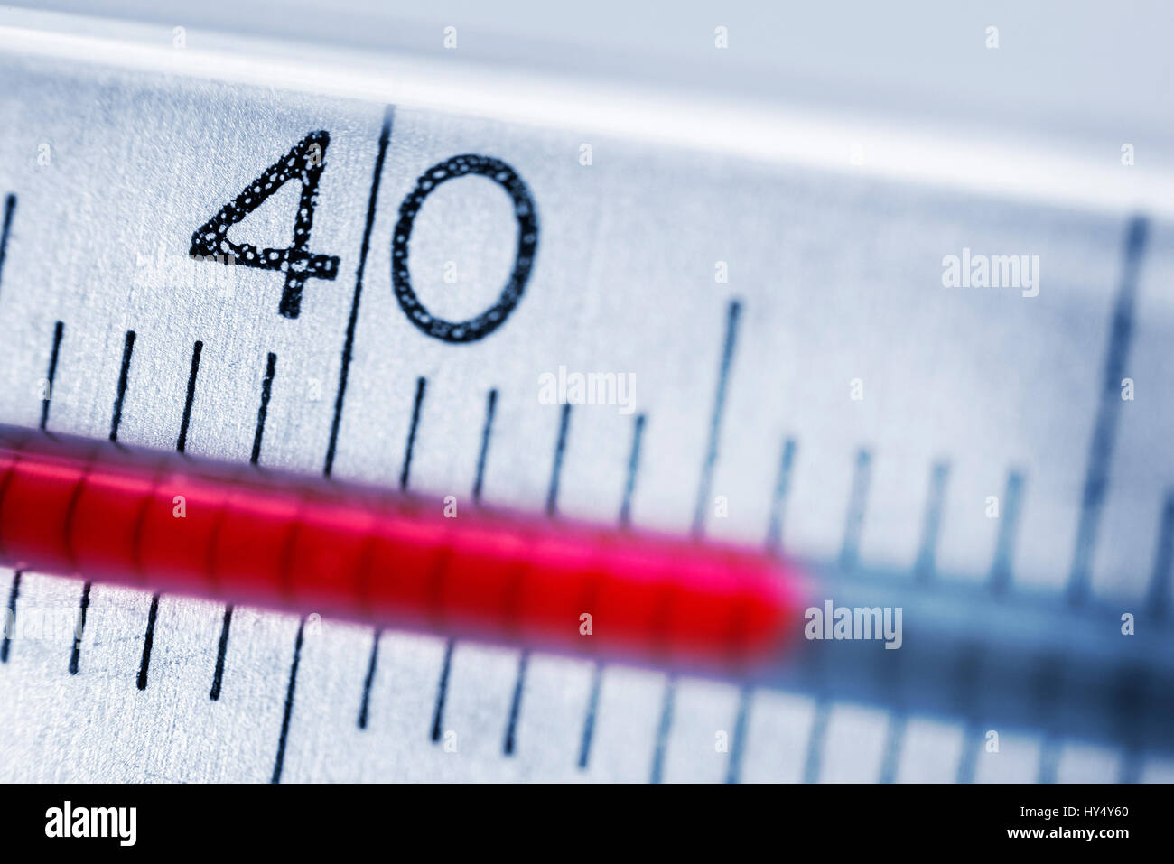 Termometro clinico a più di 40 gradi, febbre, Fieberthermometer bei ueber 40 Grad, Fieber Foto Stock