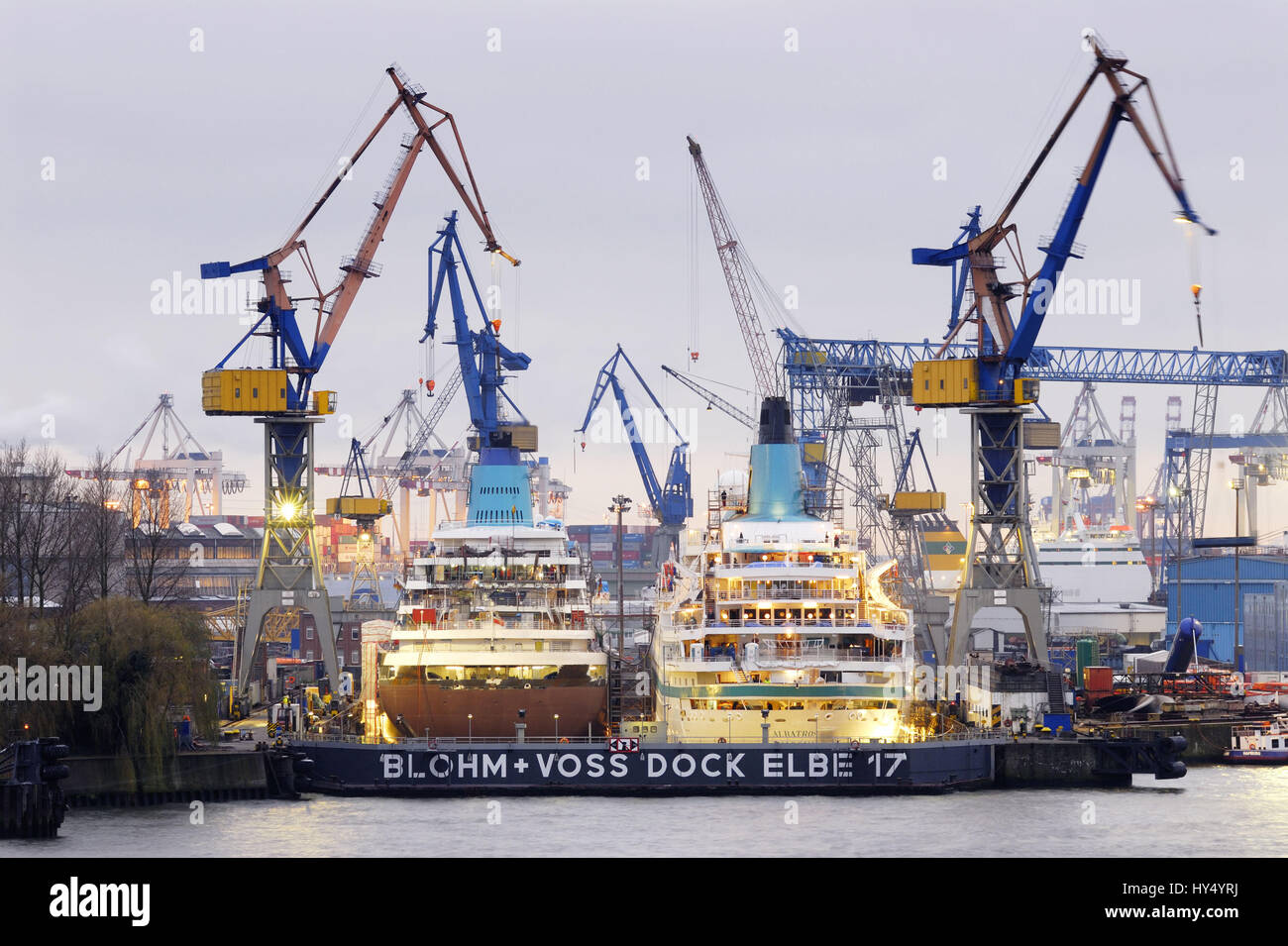 Le navi da crociera MS Amadea e albatross MS nel bacino a secco l'Elba 17 di Blohm Voss e nel porto di Amburgo ad Amburgo, Germania, Europa, Die Kreu Foto Stock