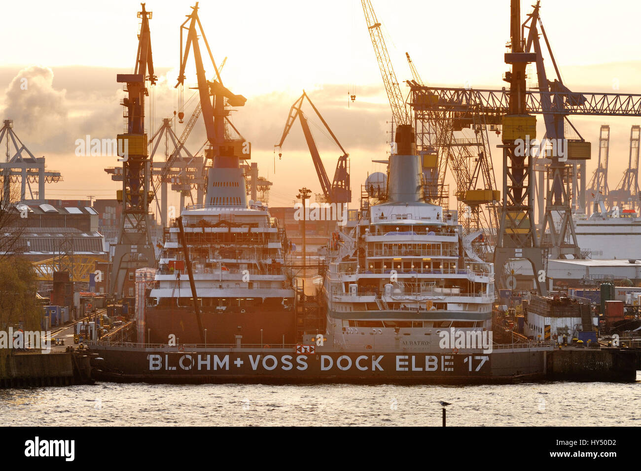 Le navi da crociera MS Amadea e albatross MS nel bacino a secco l'Elba 17 di Blohm Voss e nel porto di Amburgo ad Amburgo, Germania, Europa, Die Kreu Foto Stock