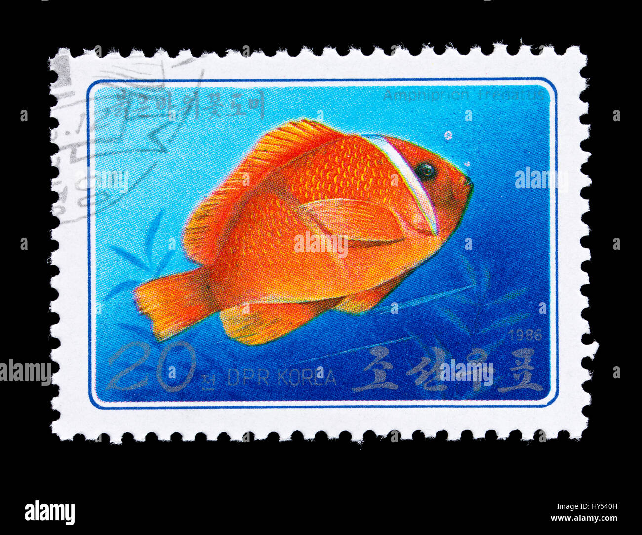 Francobollo dalla Corea del Nord che raffigura un pomodoro clownfish (Amphiprion frenatus) Foto Stock
