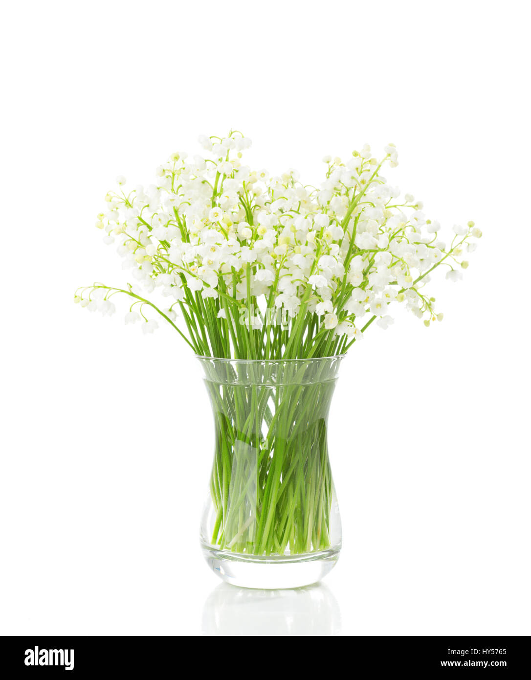 Bouquet di mughetti isolati su sfondo bianco. Foto Stock