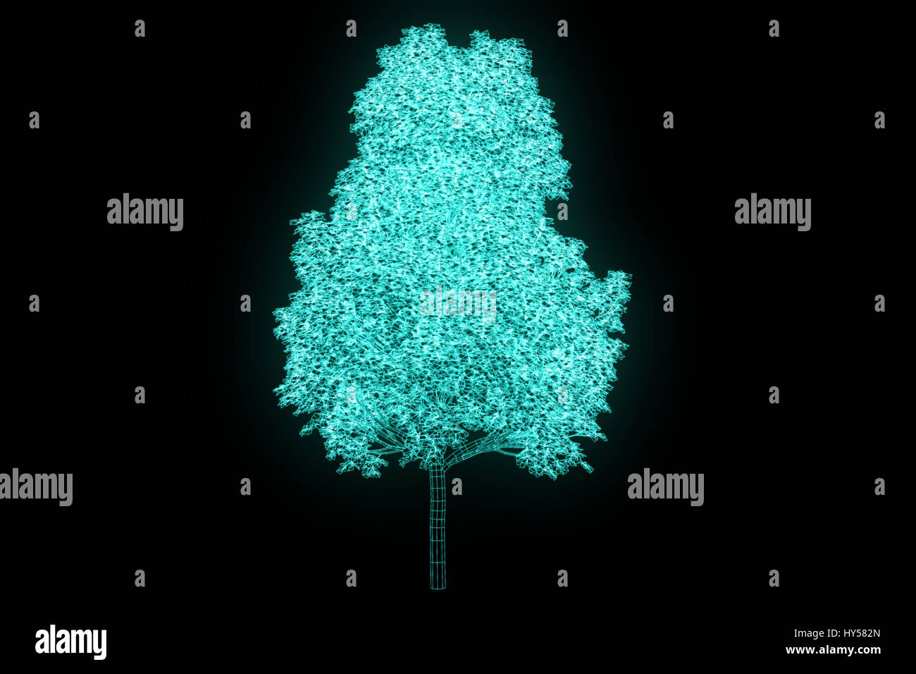 Impianto ad albero in Wireframe stile ologramma. Bello il rendering 3D Foto Stock