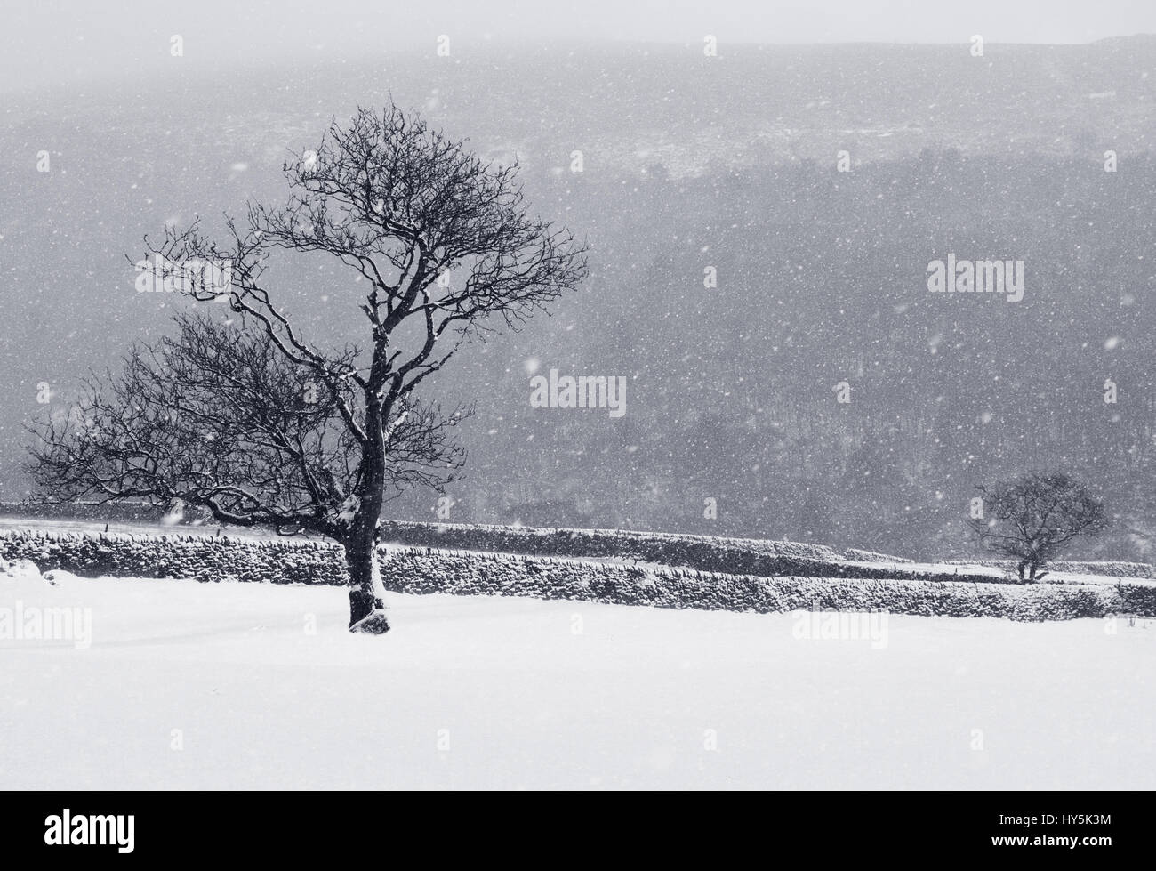 Scena dello Snowy Foto Stock