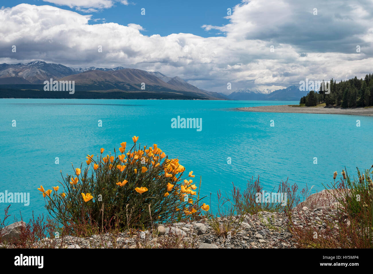 Lago Pukaki, montagne dietro, Nuova Zelanda Alpi meridionali, Pukaki, regione di Canterbury, Southland, Nuova Zelanda Foto Stock