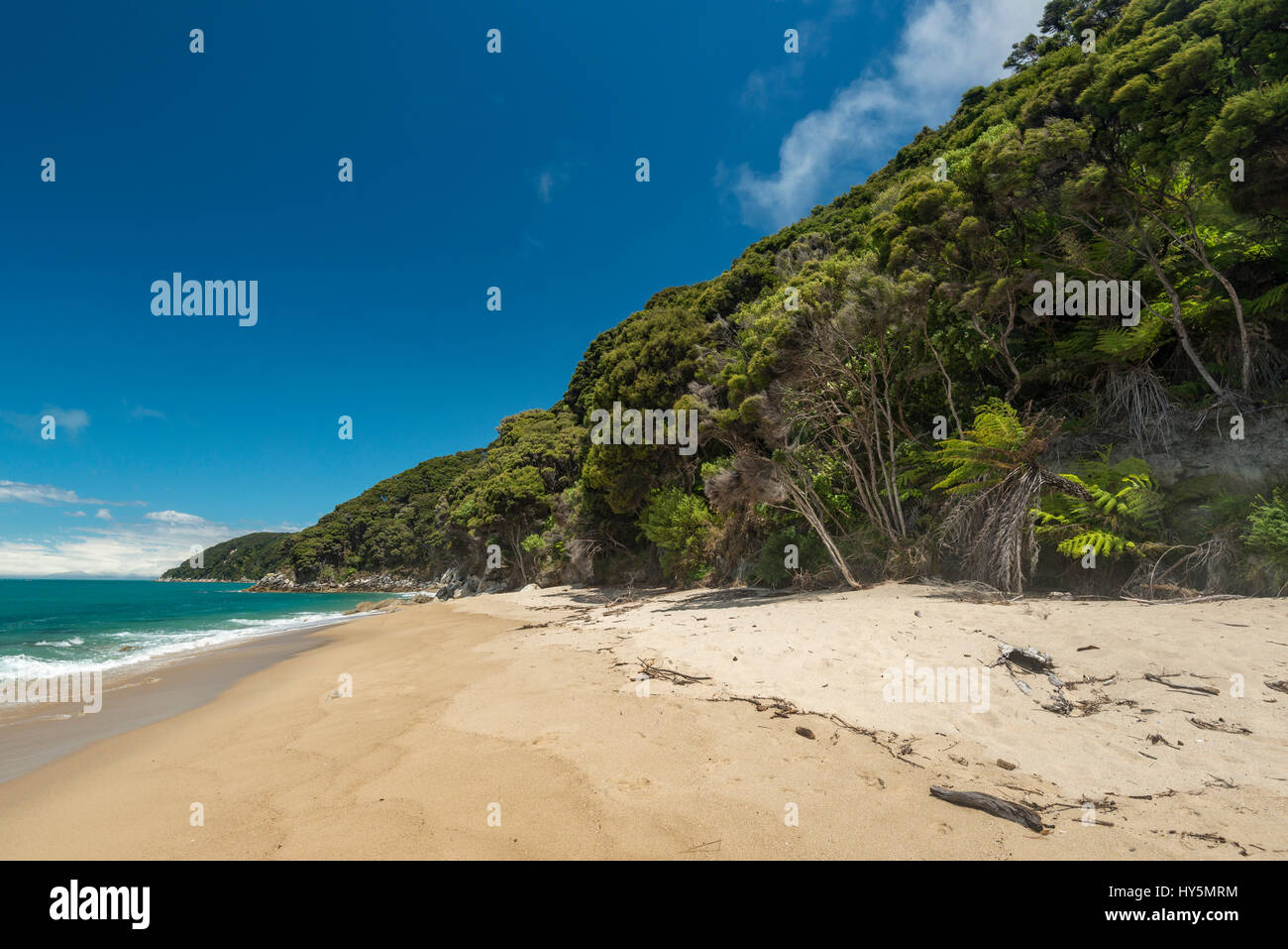 Spiaggia di sabbia con vegetazione tropicale, Tonga cava, Tonga Bay, il Parco Nazionale Abel Tasman, regione Tasmania, Southland, Nuova Zelanda Foto Stock
