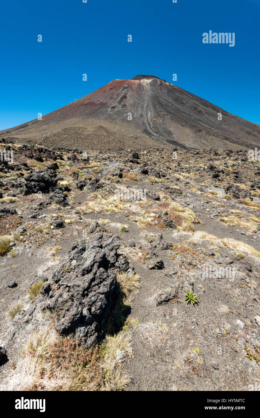 Il monte Ngauruhoe, vulcano attivo, paesaggio vulcanico, Tongariro Alpine Crossing, parco nazionale di Tongariro, Isola del nord Foto Stock