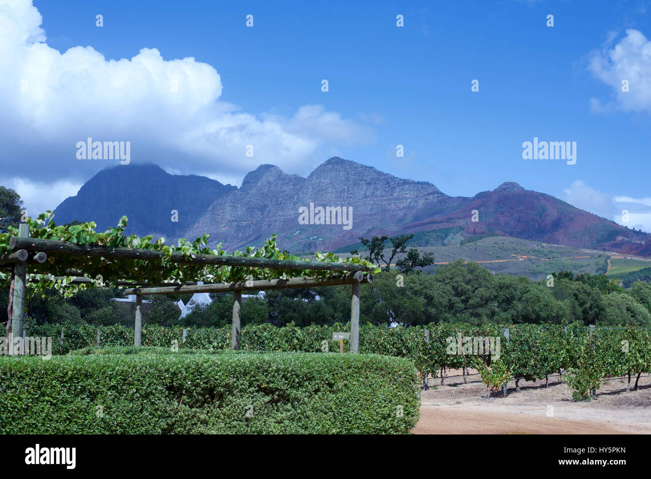 Bablylonstoroen vigneto e il Franschoek e montagne in distanza Foto Stock